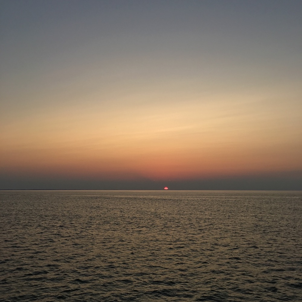 Meet your Posher, Owen